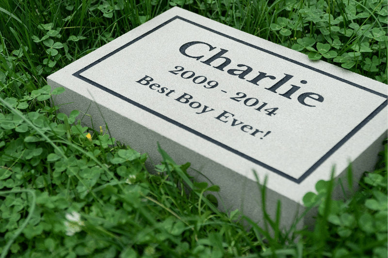 Standard Pet Memorial Stone dedicated to Charlie