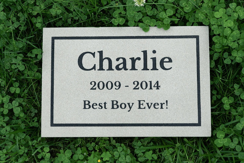Standard Pet Memorial Stone dedicated to Charlie